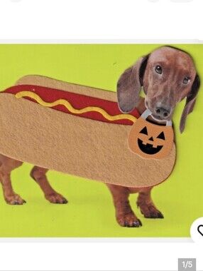 🍁PAPYRUS weiner dog Halloween greeting Card, Dog Themed Happy Halloweenie Card